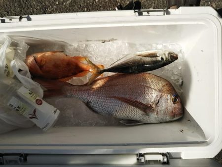 康仁丸・ジギング釣り果